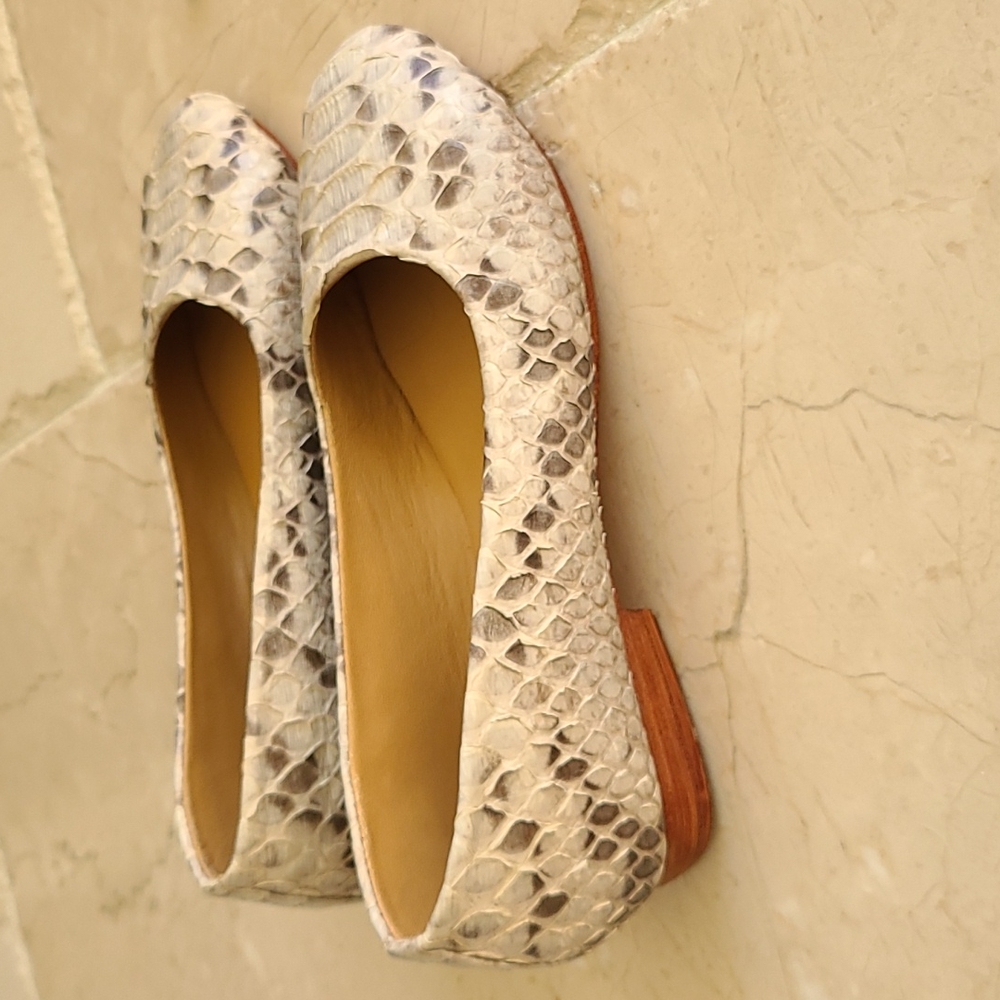 Pyton shoes